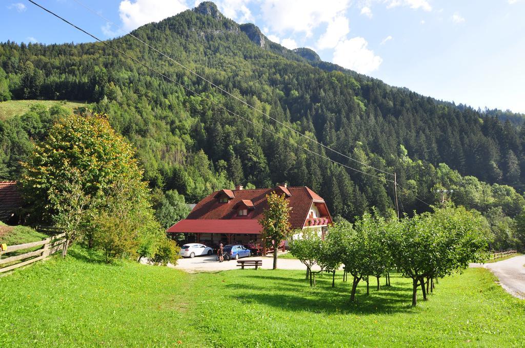 Country House - Turisticna Kmetija Ambroz Gregorc Βίλα Solčava Εξωτερικό φωτογραφία