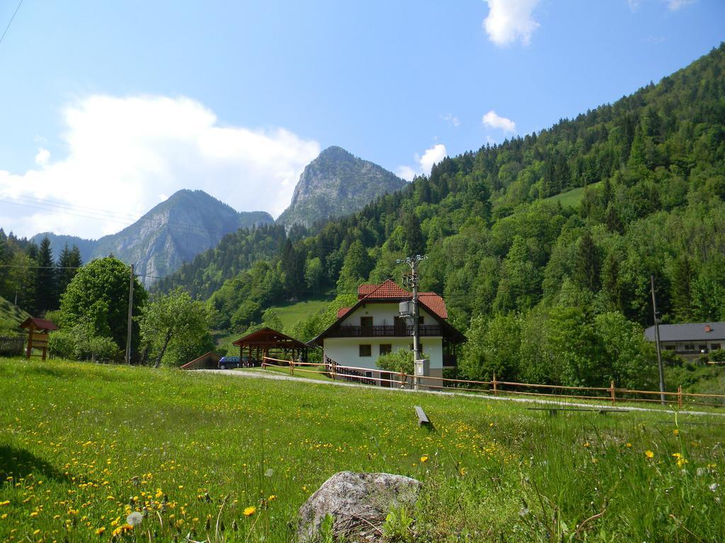 Country House - Turisticna Kmetija Ambroz Gregorc Βίλα Solčava Εξωτερικό φωτογραφία